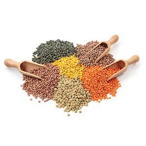 Lentils-all