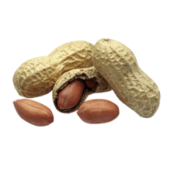 Peanuts