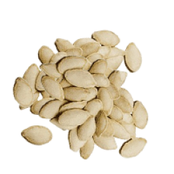Sunflower Seeds2