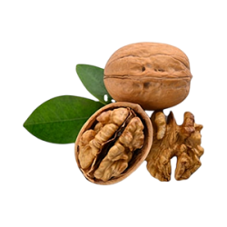 Walnut